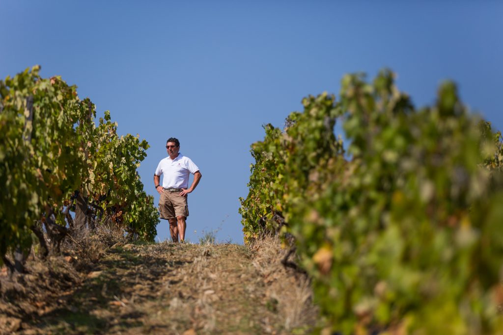 Vignoble Carlos Ferreira Vineyard, Douro Portugal